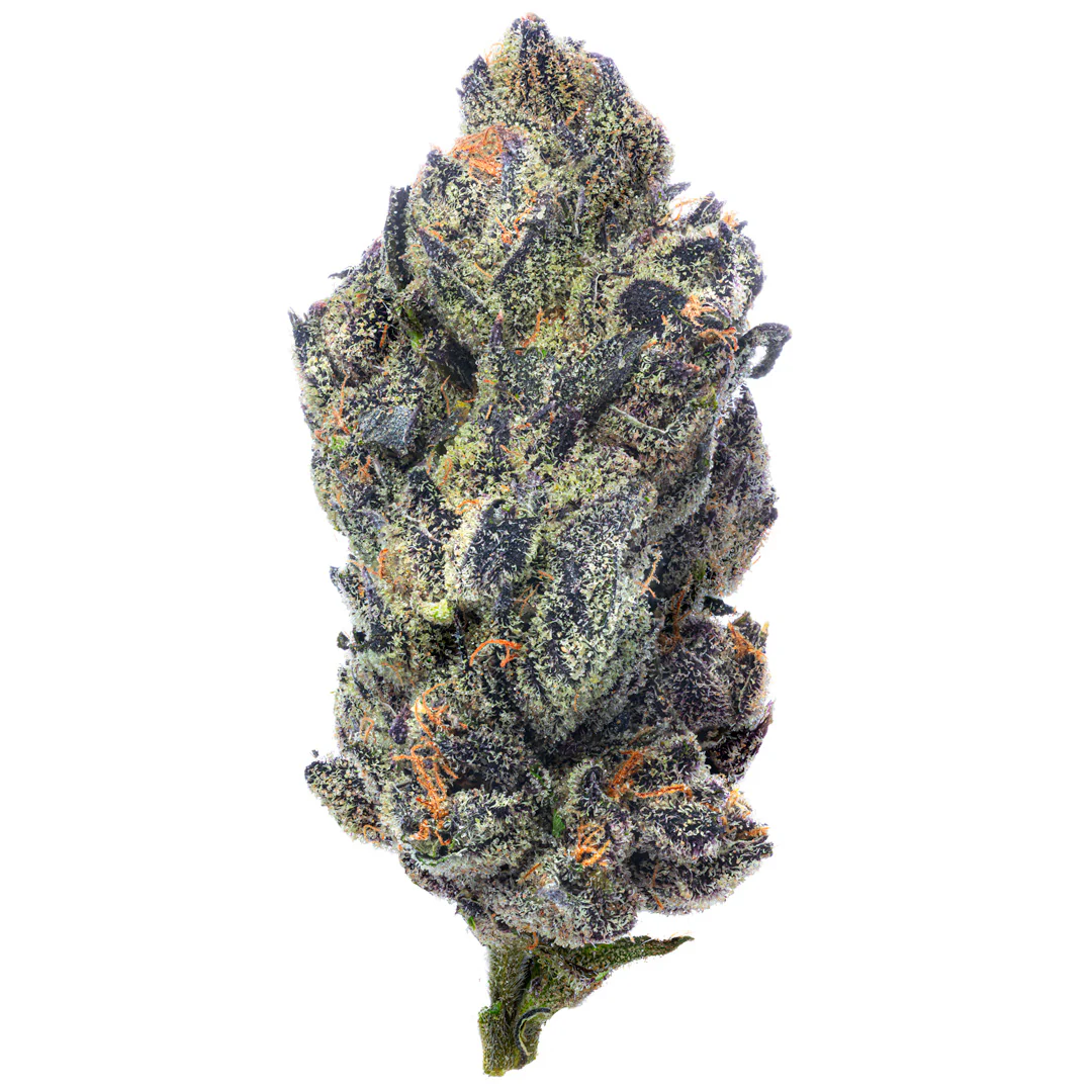 Indoor Exotics - Purple Jack - 14 Grams - Hybrid - Image 2