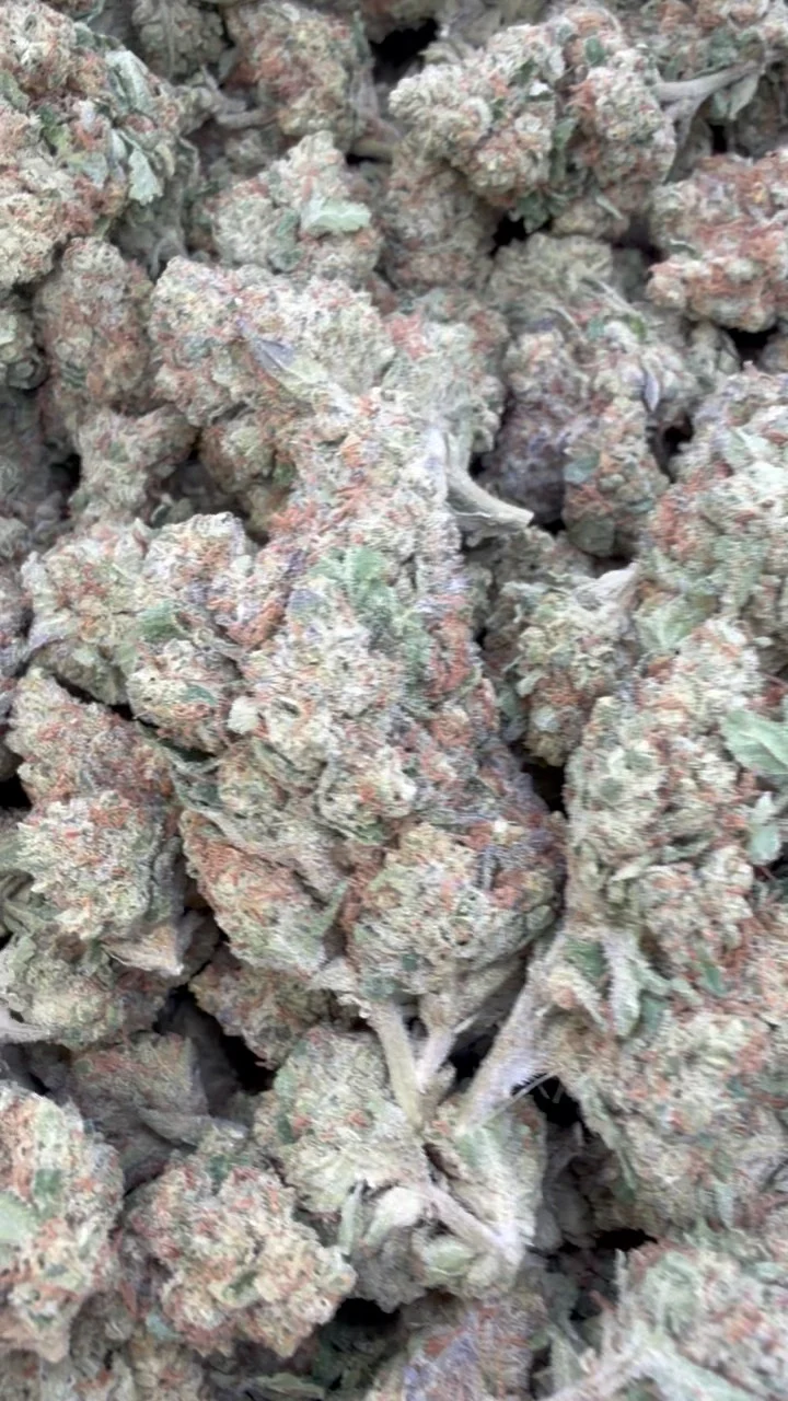 Chocolate Diesel - Bulk - Sativa