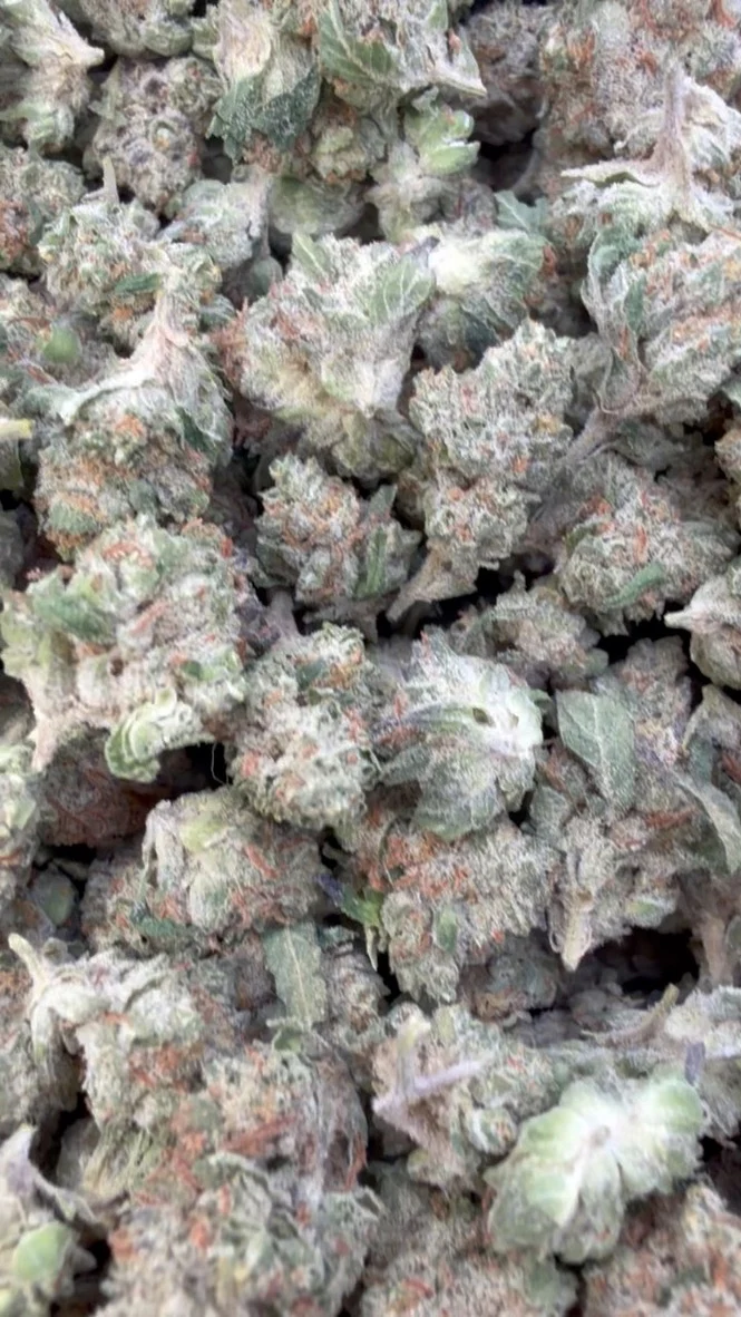 Bulk THCa & Wholesale - Minis