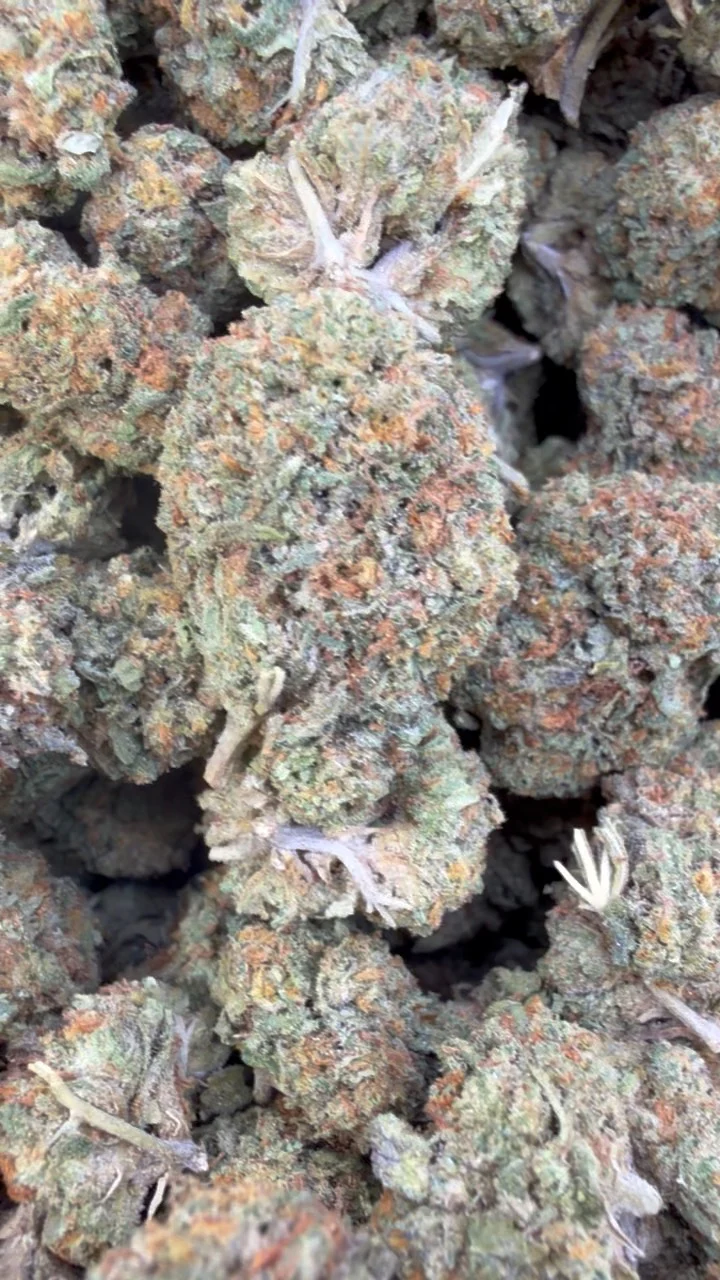 Georgia Pie Mediums - Bulk Mediums - Indica