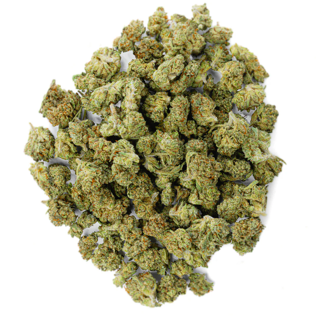 Jack Herrer - Minis - 14 Grams - Sativa
