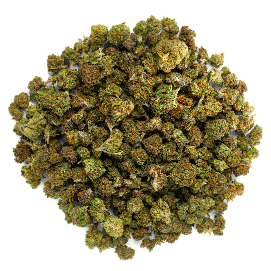Purple Jack - Minis - 28 Grams - Hybrid