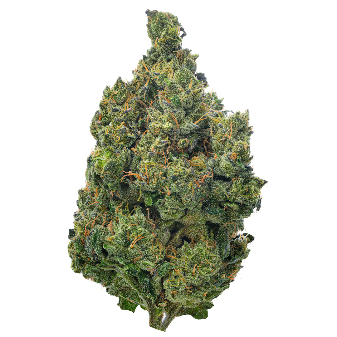 Super Jack Indoor - 14 Grams - Sativa - Image 2